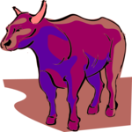 Bull 09