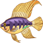 Cichlid - Dwarf 4 Clip Art