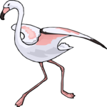 Flamingo 19