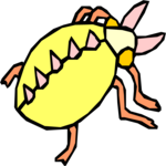 Bug 074