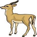 Antelope 15 Clip Art