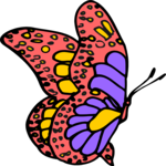 Butterfly 048