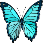 Butterfly 119