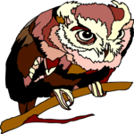 Owl 39 Clip Art