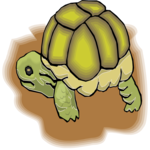 Turtle 2