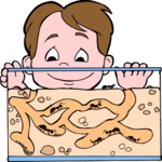 Boy with Ant Farm
