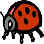 Ladybug 03