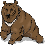 Bear 18