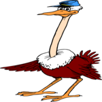 Ostrich with Cap