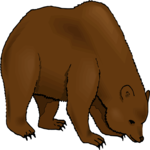 Bear 16