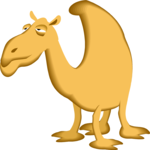 Camel 10