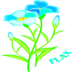 Flax