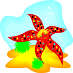 Starfish 3 Clip Art