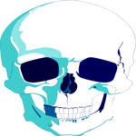 Skull 09
