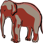 Elephant 14