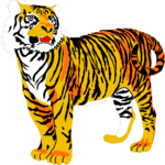 Tiger 01