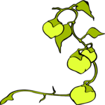 Lemon Stem 1 Clip Art