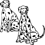 Dalmatians