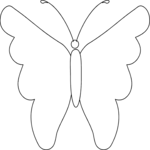 Butterfly 020