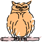 Owl 44