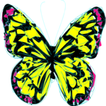 Butterfly 022