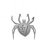 Spider 03