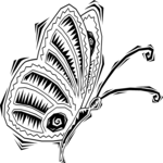 Butterfly 019