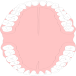 Teeth 1