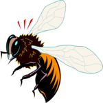 Bee 07