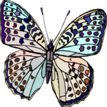 Butterfly 116