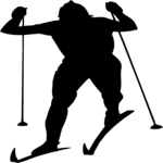 Skiing - Cross Country 2