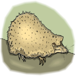 Hedgehog 5 Clip Art