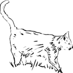 Cat 09