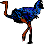 Ostrich