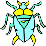 Bug 022