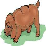 Dog 134