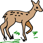 Fawn 1 Clip Art