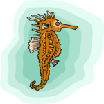 Seahorse 05