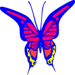 Butterfly 023