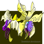 Dendrobium Atroviolaceum Clip Art