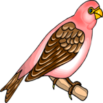 Bird Perched 48