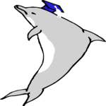Graduate - Dolphin Clip Art