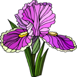 Flower 383