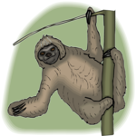 Sloth 4