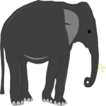 Elephant 10