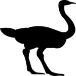 Ostrich 2