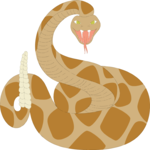 Rattlesnake 2