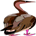 Duck 56 Clip Art