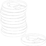 Coins 07