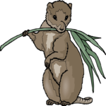 Coypu 4 Clip Art